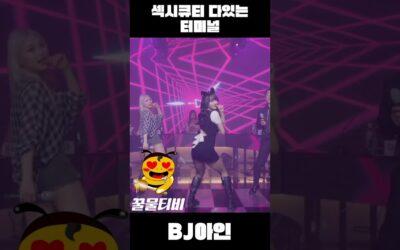 bj아인 엑셀방송 꿀물티비 팝나 섹시미 발산
